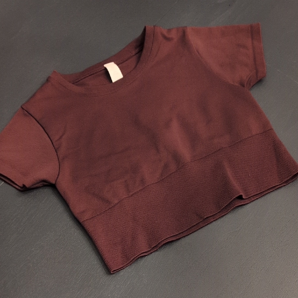 Aerie Brown Crop Top